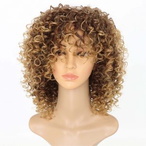 14 Inches Women’s Wigs Afro Kinky Curly Synthetic Short Wigs