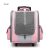 Pet Carrier Backpack For Dogs Cats Foldable Transparent Pet Bag